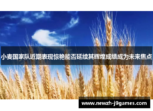 小麦国家队近期表现惊艳能否延续其辉煌成绩成为未来焦点