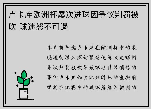 卢卡库欧洲杯屡次进球因争议判罚被吹 球迷怒不可遏